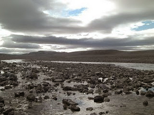 Rhinoceros River