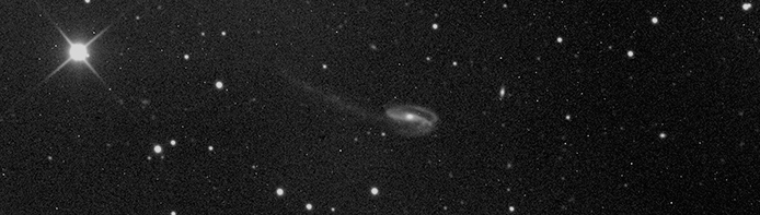 Tadpole Galaxy Tadpole Galaxy
