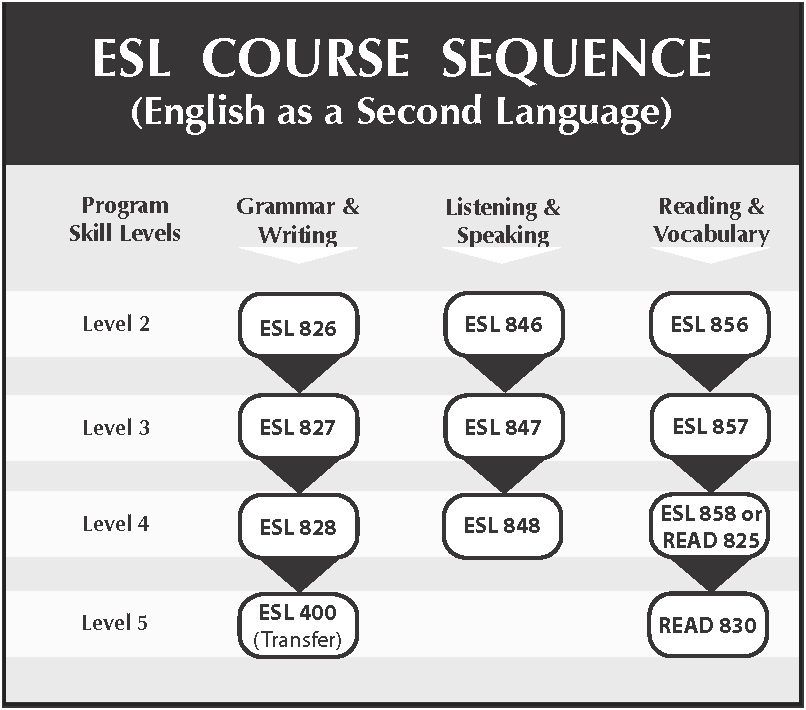 English as a second language essay