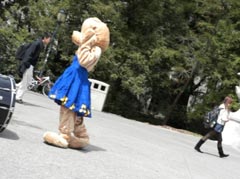 UC Berkeley