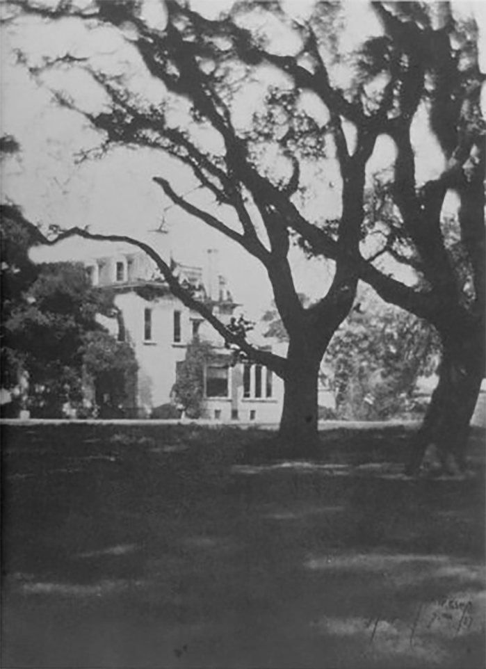 The Kohl mansion was torn down in 1928, but many of the historic trees still stand in what is now San Mateo Central Park