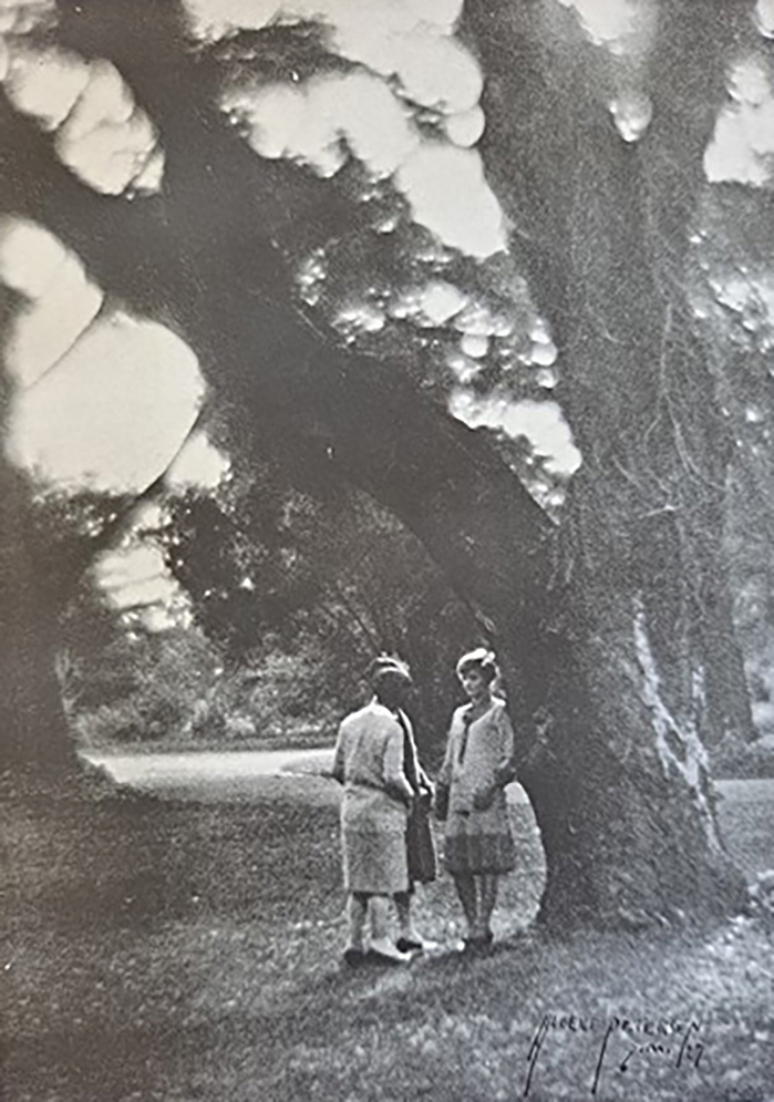 The 1927 Campus yearbook included nostalgic farewells to the Kohl Mansion and its grounds. Many of the trees still stand.