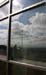 005reflection1